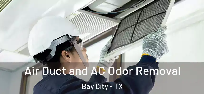  Air Duct and AC Odor Removal Bay City - TX