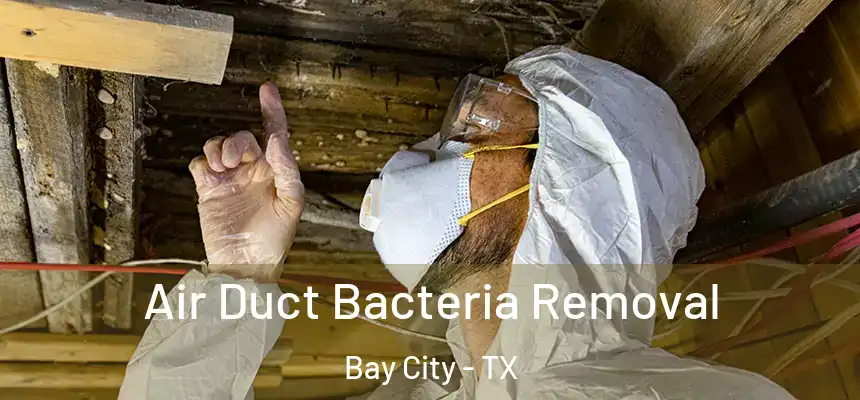  Air Duct Bacteria Removal Bay City - TX