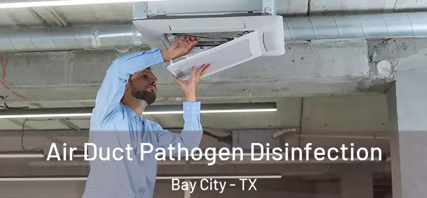 Air Duct Pathogen Disinfection Bay City - TX