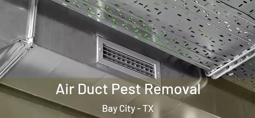 Air Duct Pest Removal Bay City - TX