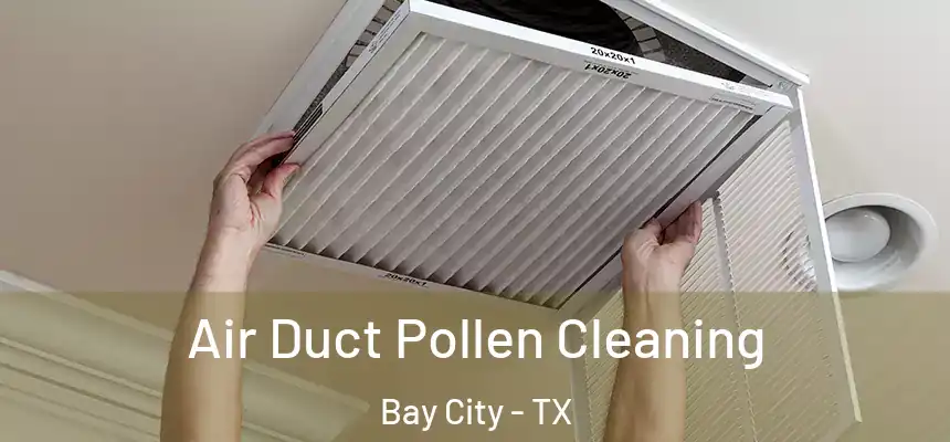 Air Duct Pollen Cleaning Bay City - TX