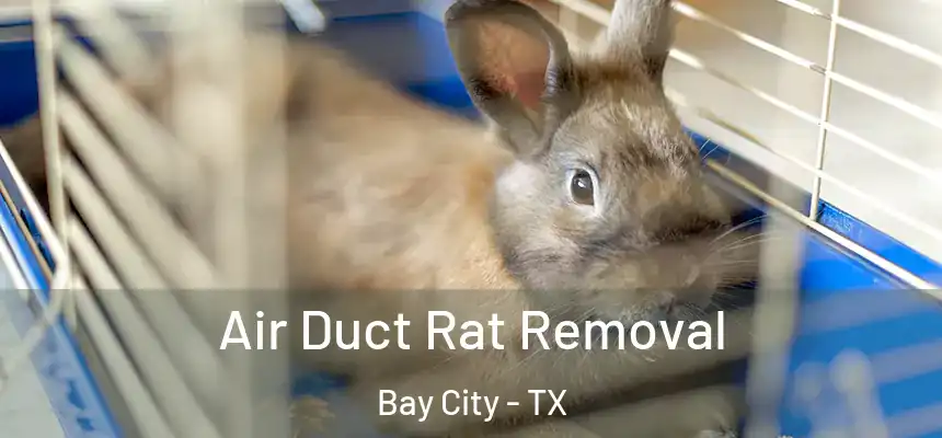 Air Duct Rat Removal Bay City - TX