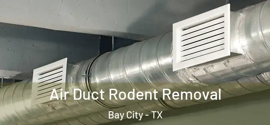Air Duct Rodent Removal Bay City - TX