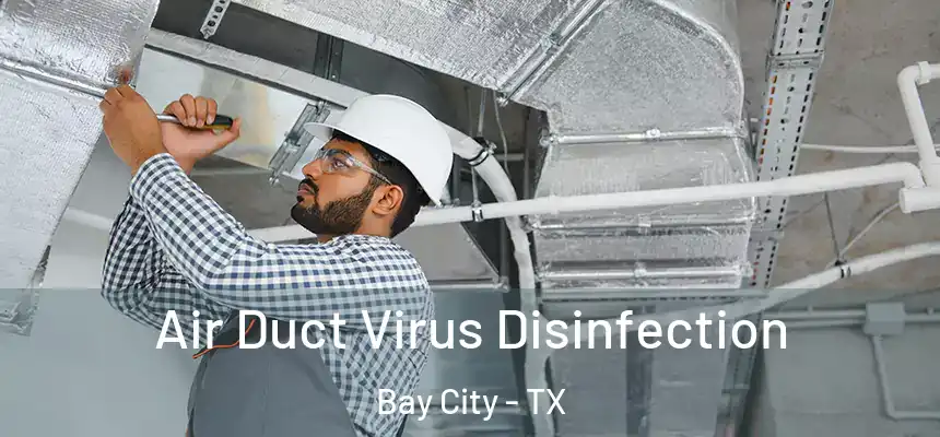  Air Duct Virus Disinfection Bay City - TX