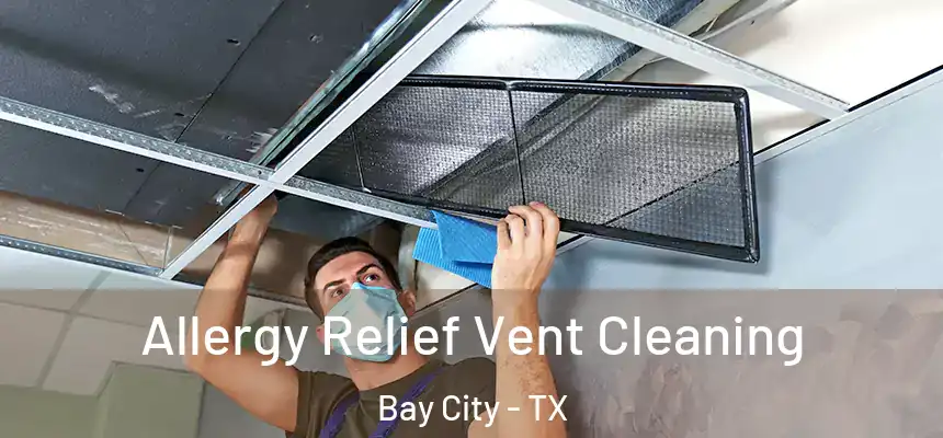  Allergy Relief Vent Cleaning Bay City - TX