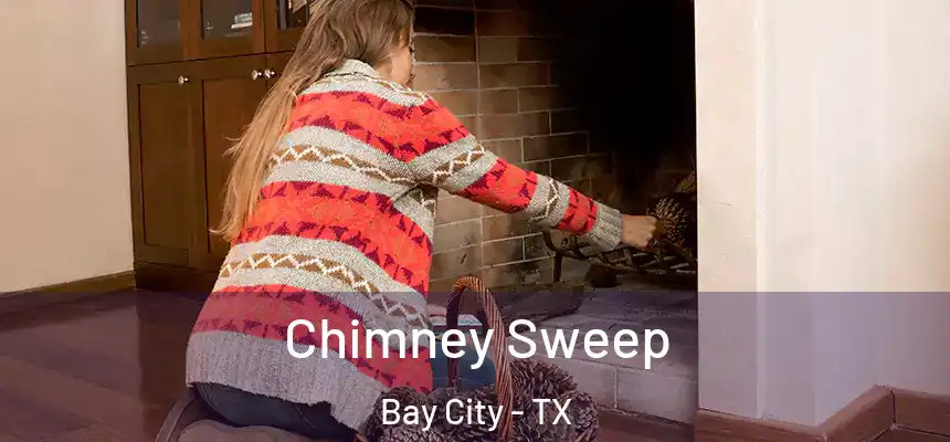  Chimney Sweep Bay City - TX