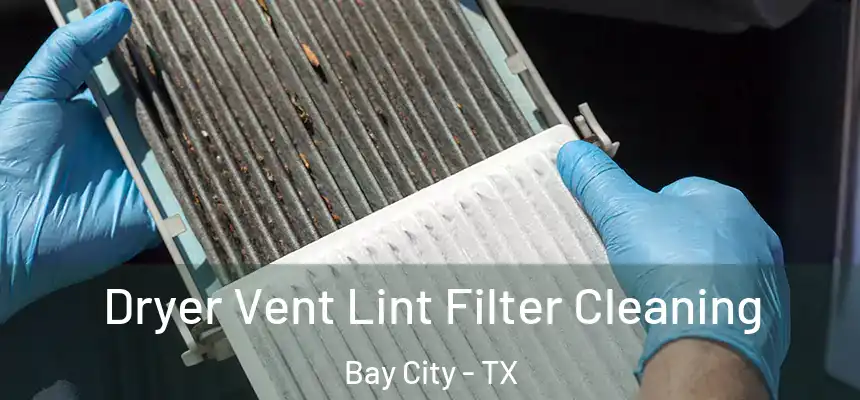 Dryer Vent Lint Filter Cleaning Bay City - TX