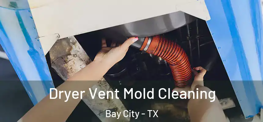 Dryer Vent Mold Cleaning Bay City - TX