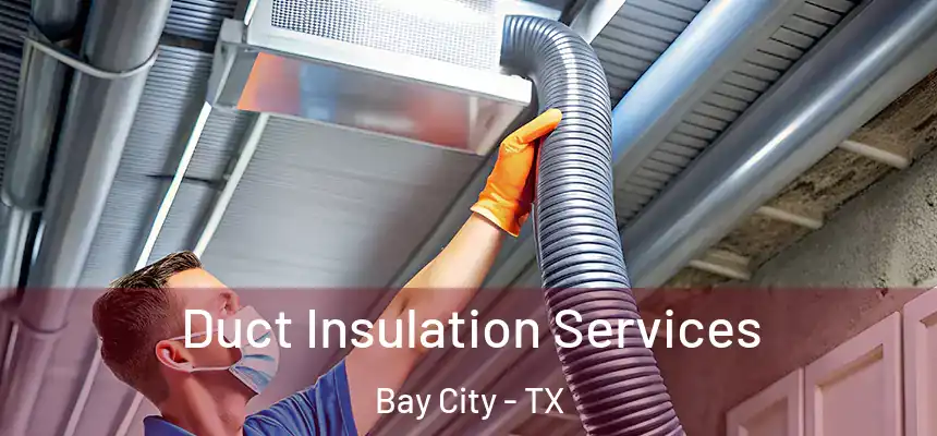  Duct Insulation Services Bay City - TX