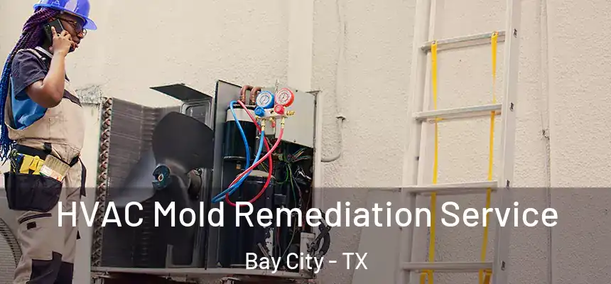 HVAC Mold Remediation Service Bay City - TX