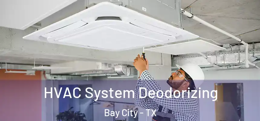 HVAC System Deodorizing Bay City - TX