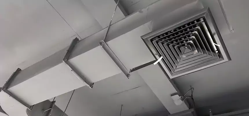 Restorative Allergy Relief Vent Cleaning – Coil, Blower & Housing Detail in Bay City