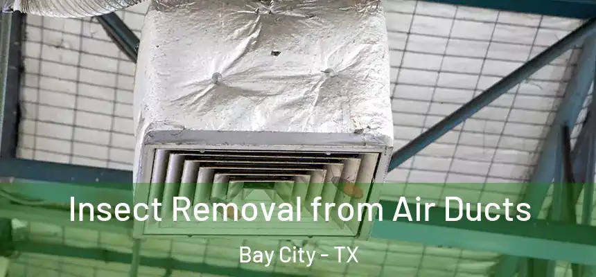 Insect Removal from Air Ducts Bay City - TX