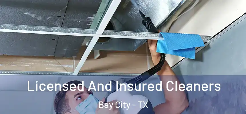  Licensed And Insured Cleaners Bay City - TX