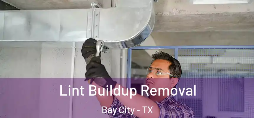 Lint Buildup Removal Bay City - TX