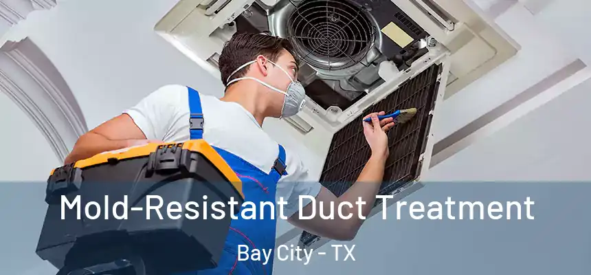 Mold-Resistant Duct Treatment Bay City - TX