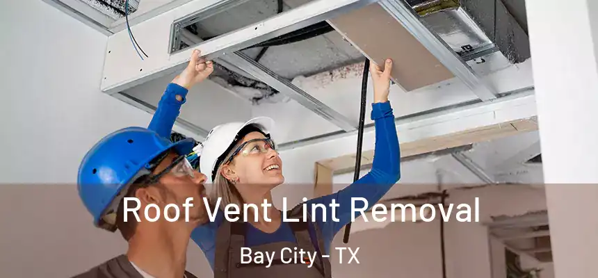 Roof Vent Lint Removal Bay City - TX