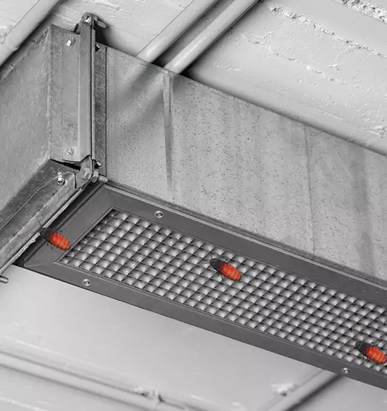 About Air Duct Cockroach Removal in Bay City, TX