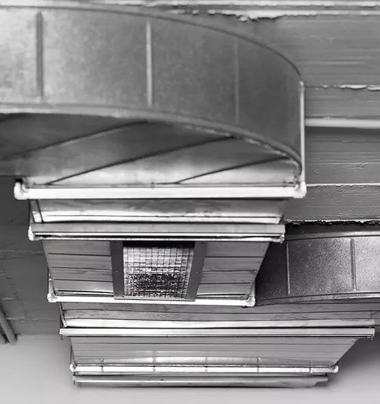 Professional Air Duct Pest Removal in Bay City, TX