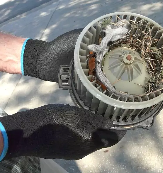 About Air Duct Rat Removal in Bay City, TX