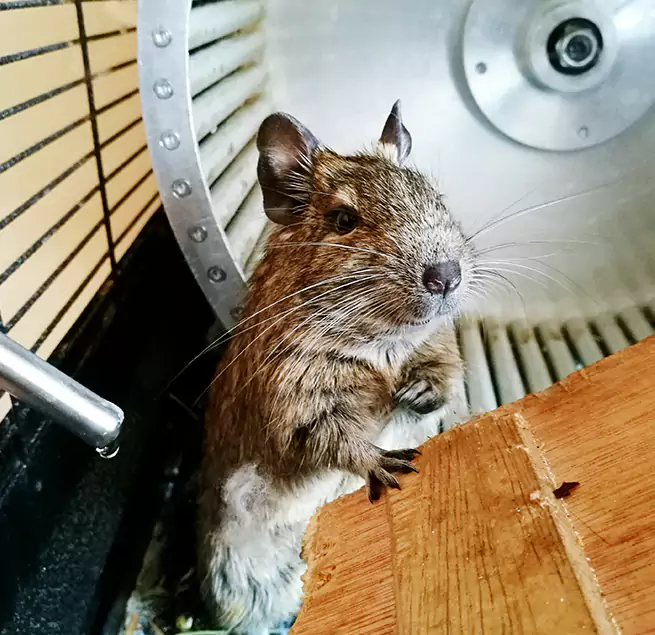 Why Homeowners & Businesses Trust Us Bay City, TX