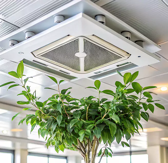 Why Homeowners & Businesses Trust Us in Bay City, TX