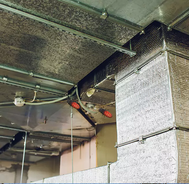 Why Homeowners & Businesses Trust Us Bay City, TX?