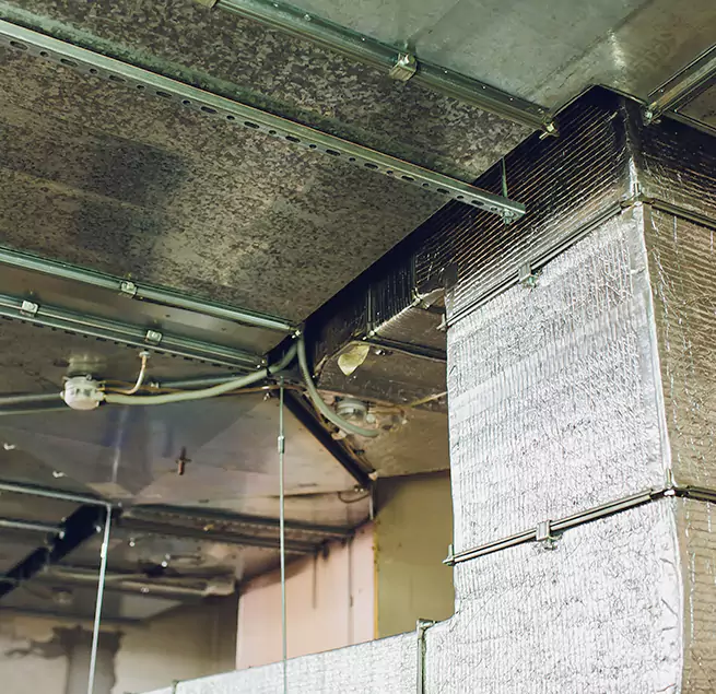 Why Homeowners & Businesses Trust Us in Bay City, TX?